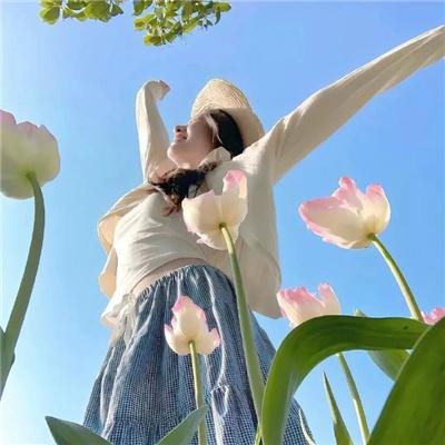 春花秋月未了情海报